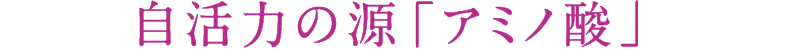 自活力の源「アミノ酸」